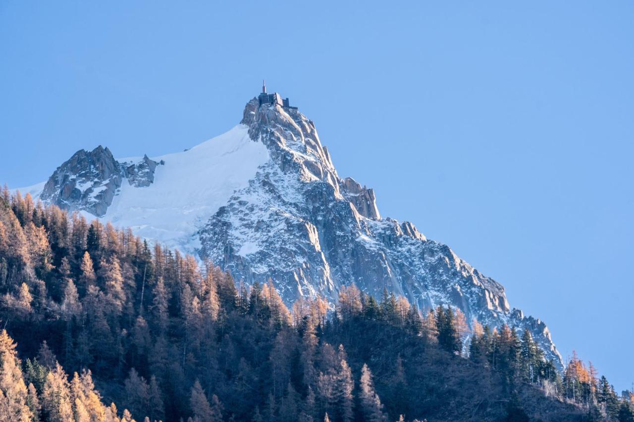 Chamonix Sud Studio With Mont Blanc Views Екстер'єр фото