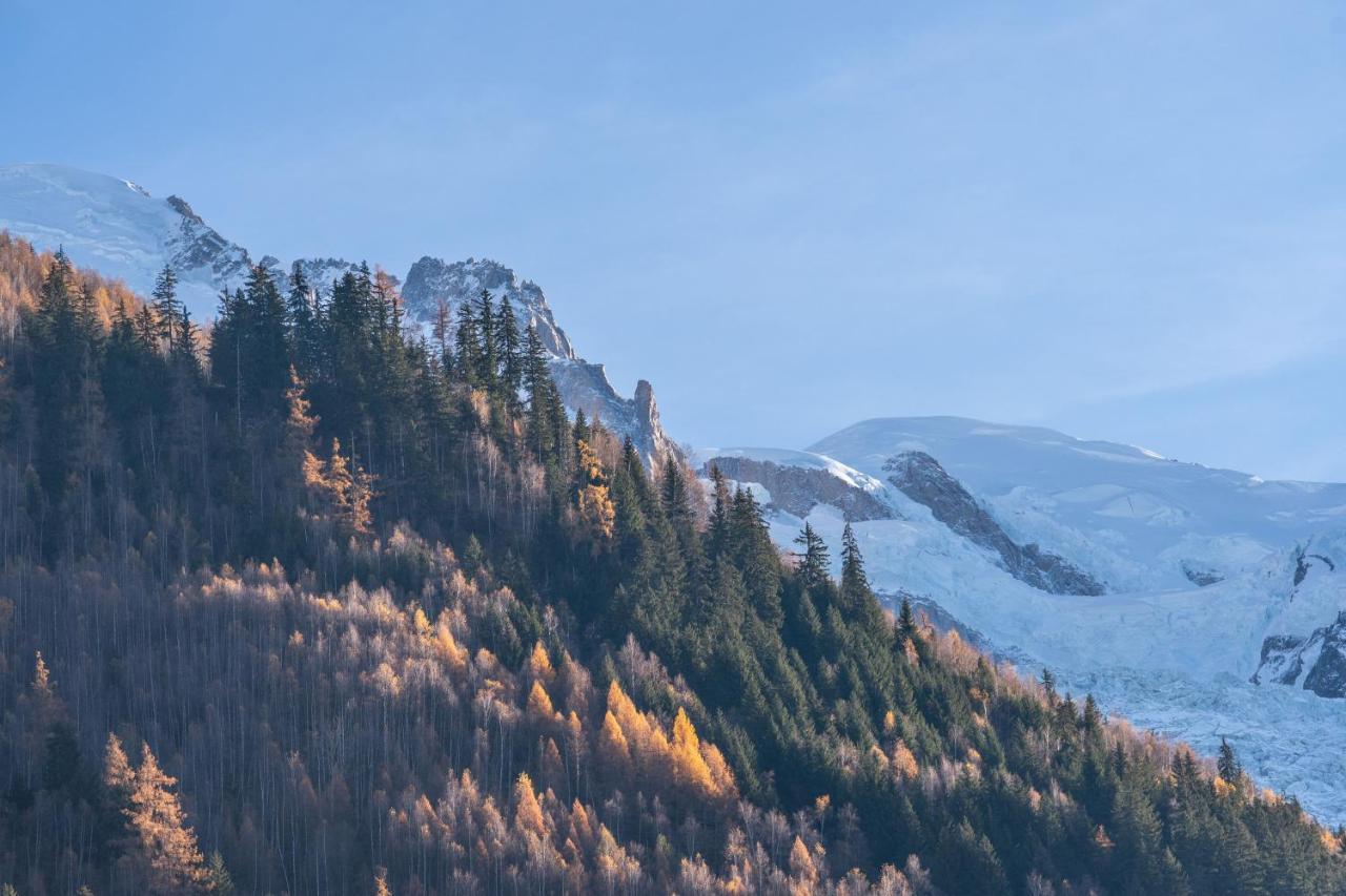Chamonix Sud Studio With Mont Blanc Views Екстер'єр фото